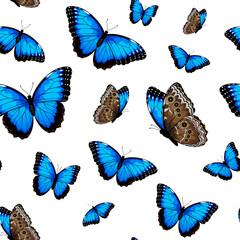 Seamless pattern with blue morpho butterflies, vector illustration