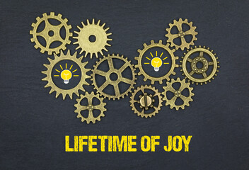 lifetime of joy	