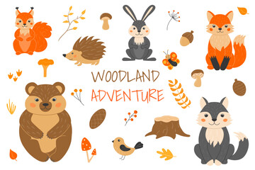 Vector illustration with cute forest animals in cartoon style. Squirrel, fox, wolf, bear, hedgehog, butterfly, bird. Twigs, cones, acorn, leaves, grass. Autumn in the forest.