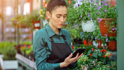 Young woman florist enters information on quantity of flowers in tablet in DIY store department. Black-haired assistant counting pot-plants checks shop assortment, sunlight