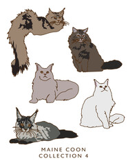 Maine Coon Cat Illustrations Many Coat Colors! Collection 4