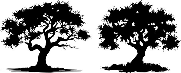 silhouette of olive tree illustration