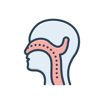 Color illustration icon for ent larynx