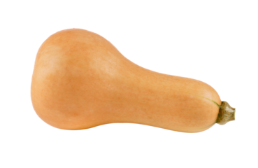butternut squash on transparent png