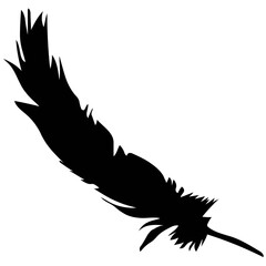 Feather Wings Vector Solid Icons 

