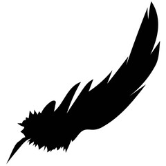 Feather Wings Vector Solid Icons 

