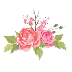 peony flower bouquet illustration