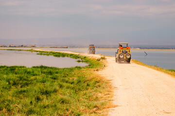 Fototapeta premium Safari vehicles on a dirt road in the wild at Amboseli National Park, Kenya