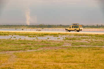 Fototapeta premium A safari vehicle amidst lesser flamingos at Amboseli National Park, Kenya