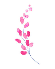 pink branch on white