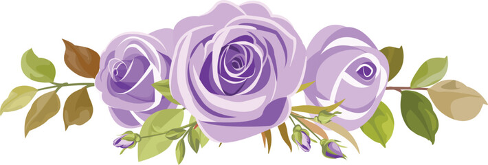 a bouquet of purple roses, a bouquet of beautiful purple roses