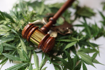 Judge gavel and green marijuana leaves closeup. Judgment in a criminal case on illegal marijuana...