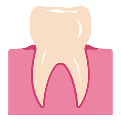 Badge of healthy tooth in gum. Vector illustration