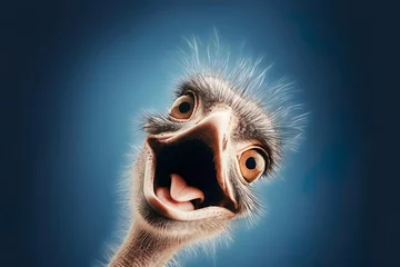 Tuinposter Funny ostrich smiling portrait. © Jodie