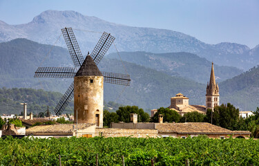 Windmill and church, vineyards, Binissalem, Serra de Tramuntana, UNESCO World Heritage, Majorca (Mallorca), Balearic Islands, Spain, Mediterranean