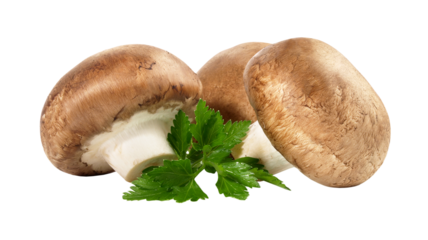 Brown Champignon Mushrooms - Transparent PNG Background