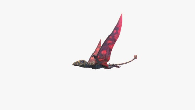 Animation of a Peteinosaurus dinosaur flying