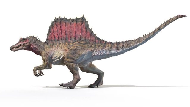 Animation of a Spinosaurus dinosaur walking