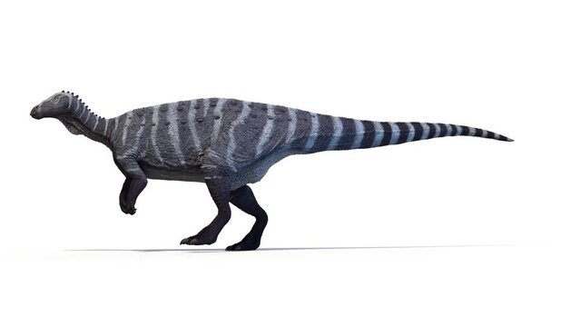 Animation of a Thescelosaurus dinosaur walking