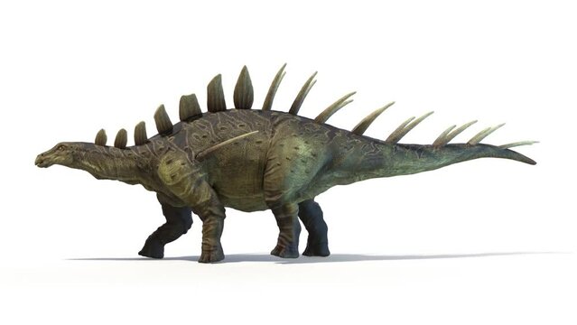 Animation of a Kentrosaurus dinosaur walking