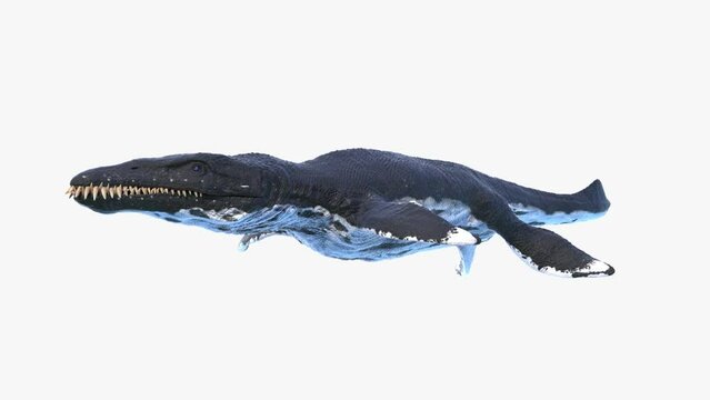 Animation of a Liopleurodon swimming