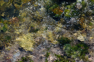 The texture of the river bottom through the water - pebbles and mud