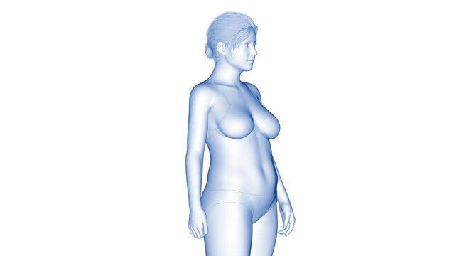 Animation of a woman's fitness transformation