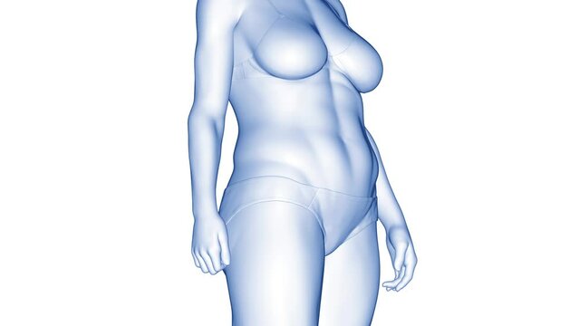 Animation of a woman's fitness transformation