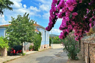 View of old houses on Hyebeliada Island in Istanbul, Turkey.