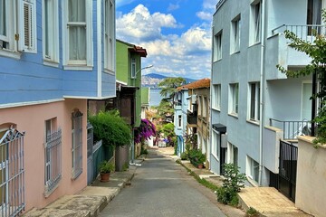 Fototapeta na wymiar View of old houses on Hyebeliada Island in Istanbul, Turkey.