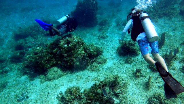 two scuba divers exploring ocean floor coral reef, fish swimming around, sand, rocks, oxygen tank making bubbles, wide shot, deep sea diving, cinematic.