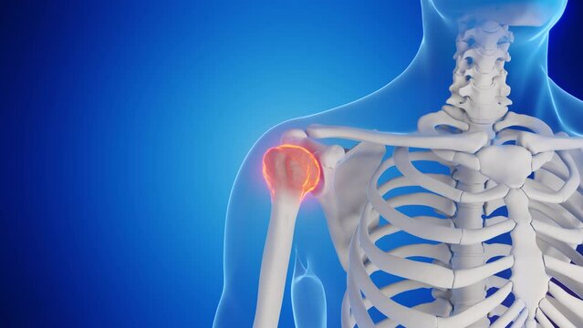 Animation of a man's shoulder joint
