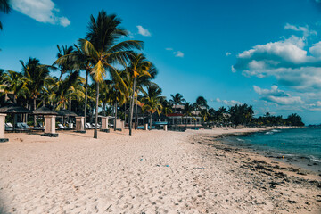 beach with palm trees Mauritius