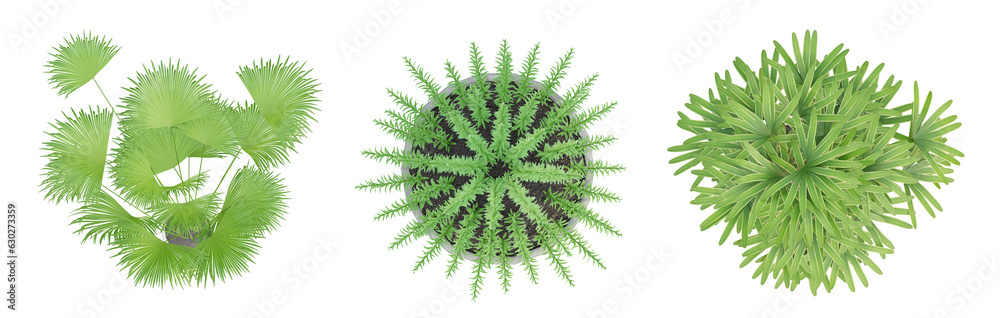 Wall mural set of plant in a pot on top view isolated on transparent background, 3d render.