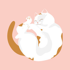 Hand-drawn vector illustration of cute orange-white cat sleeping pop-style design.