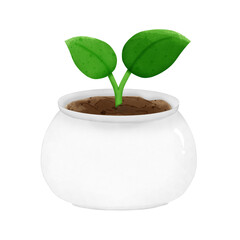 plant in a pot