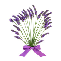 Lavender herb flower abstract floral bouquet. Natural alternative herbal medicine healthy adaptogen food  nature design with purple bow on white background.