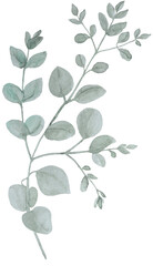 Eukalyptus Illustration watercolor Clipart Floral Blume Hochzeit Flower handmadecards kartengestaltung