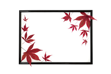 Maple leaves abstract composition on black frame on white background. Minimal Autumn Fall red leaf design for card, label, invitation, menu.