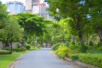 Walkway and trees beauty nature in garden city Bangkok Thailand 
