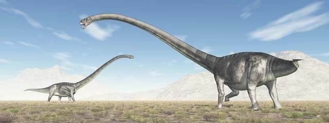 Crédence de cuisine en verre imprimé Dinosaures Dinosaurier Omeisaurus in einer Landschaft