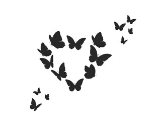 Obraz na płótnie Canvas butterflies on white background