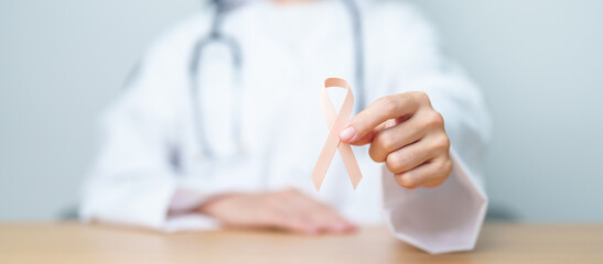 Doctor holding Peach Ribbon for September Uterine Cancer Awareness month. Uterus and Ovaries,...