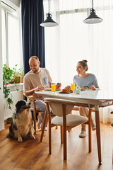 Positive man petting border collie dog while having breakfast with girlfriend in housewear at home