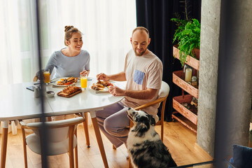 Positive couple in homewear having breakfast with orange juice near border collie dog at home