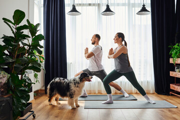 Side view of smiling couple standing in yoga pose on fitness mats near border collie at home