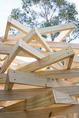 estructura geodésica