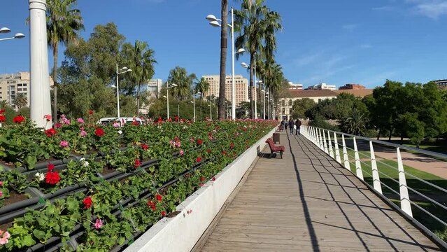 Rita Barbera Bridge in Valencia - Flower Bridge in Valencia