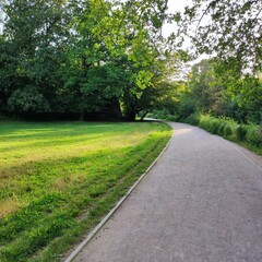 Fototapeta na wymiar Path in the Citadelle Park - Lille - France