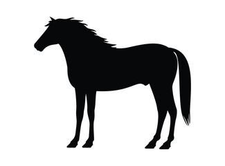 Fototapeta na wymiar Horse black silhouette isolated on white, vector illustration